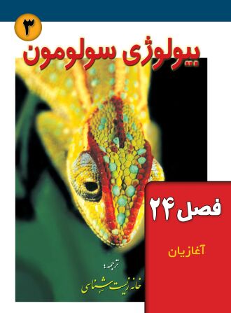 بیولوژی سولومون (فصل 24: آغازیان)