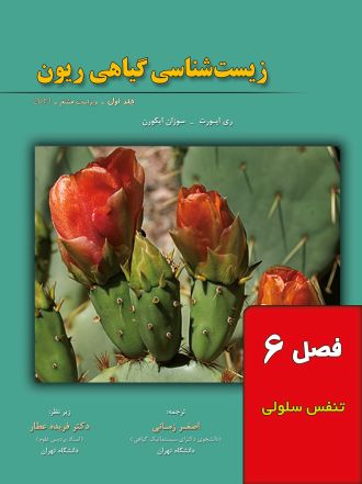 زیست شناسی گیاهی ریون (فصل ششم: تنفس سلولی)