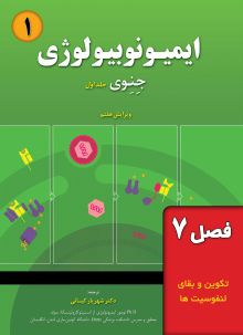 ایمیونوبیولوژی  جنوی (فصل 7: تکوین و بقای لنفوسیت‌ها)