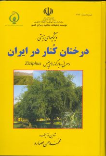 ویژگیهای زیستی درختان کنار در ایران و معرفی سایر گونه‌های جنس Ziziphus