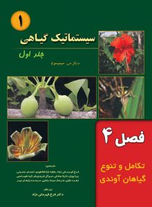 سیستماتیک گیاهی (فصل 4: تکامل و تنوع در گیاهان آوندی)
