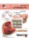 شیمی و فناوری گوشت و فرآورده‌های گوشتی
